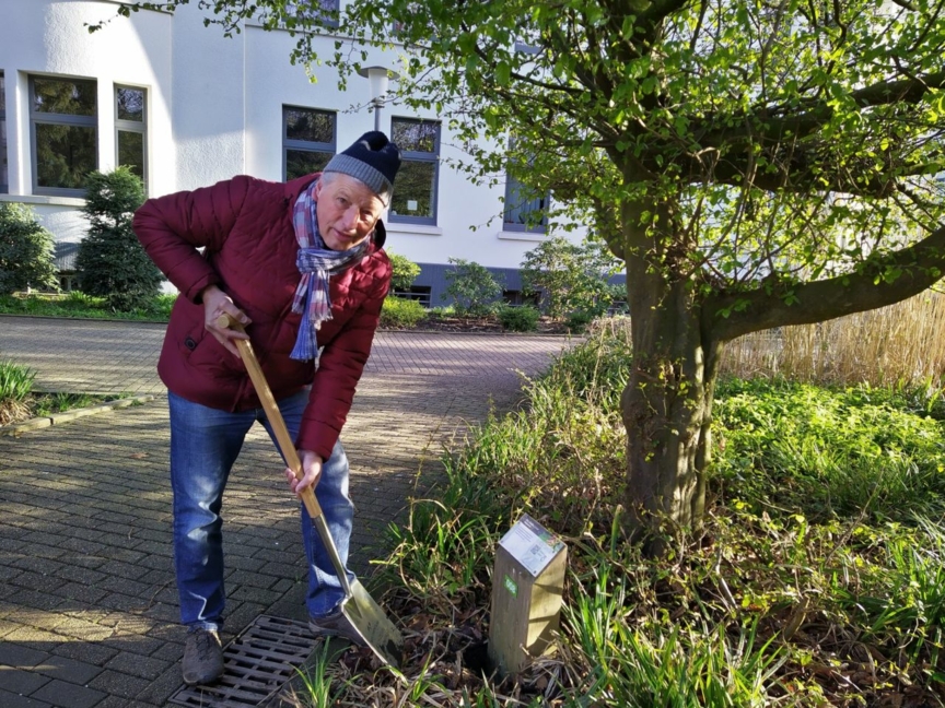 Das verlorengegangene Schild am Baumlehrpfad in der Gladbecker Innenstadt wurde vom Gladbecker Heimatverein zurückgebracht und korrigiert.