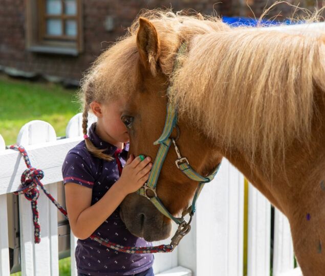Auf der Reitfreizeit lernten die teilnehmenden Kinder den richtigen Umgang mit Pferden. Einige legten auch eine Kuschelzeit ein.