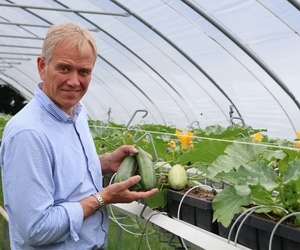 Gemüseselbstpflücke bei Schmücker: Zucchini, Tomaten und Paprika