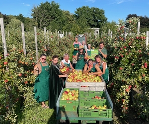 Traditionelles „Apfelanpflücken“ der Appeltatenmajestäten