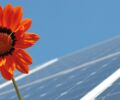 Photovoltaik-Anlagen für Unternehmen