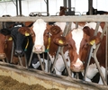 Das Erntejahr 2018 in Schermbeck