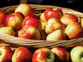 Appeltatenfest in Gladbeck muss ein Jahr warten