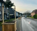 Mobile Bäume für mehr Sicherheit auf dem Schulweg in der  Agnesstraße