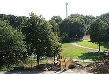 d90e346d0758598b82a2ffe61b5da01a.jpg