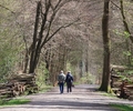 Neues Wildnisareal in Bottrop: Mehr Raum für Natur und Artenvielfal