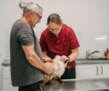 Im Einsatz für die Gesundheit der Tiere