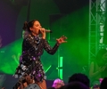 Erste Acts stehen fest: Diese Künstler kommen zum Mallorca-Festival nach Kirchhellen