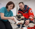 Praxisnaher Erste-Hilfe-Kurs für Hundehalter in Schermbeck