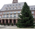 Rathaus-Weihnachtsbaum steht und läutet Vorweihnachtszeit in Bottrop ein