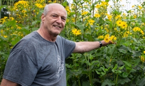 Der Kirchhellener Werner Gahlen, Imker, Bienenexperte und Kräuterpädagoge, gibt Tipps im Umgang mit (Wild-)Bienen.