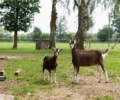 Leuchtturmprojekt der Stiftung Lühlerheim