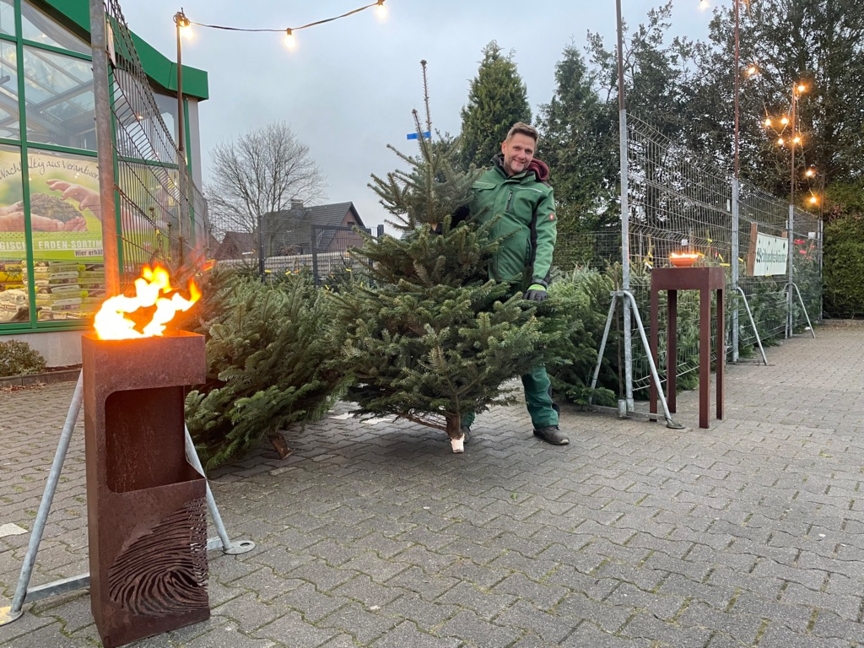 Wenn der Baumkauf zum Erlebnis wird Hier gibt es die schönsten