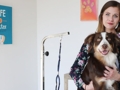Hundefriseur mit Herz in Kirchhellen