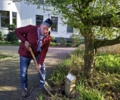 Das verlorengegangene Schild am Baumlehrpfad in der Gladbecker Innenstadt wurde vom Gladbecker Heimatverein zurückgebracht und korrigiert.