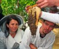 Bei einem Imkerkurs in Gladbeck lernen Interessierte, wie Bienen wesensgerecht gehalten werden und was bei einer Bienenhaltung im eigenen Garten zu beachten ist.