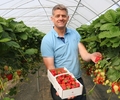Hier wachsen die Erdbeeren jetzt fast direkt in den Mund