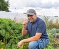 "Meine Ernte" startet bald wieder