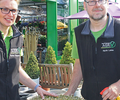 Eine kleine Raupe ärgert Gartenbesitzer
