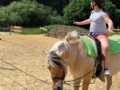 Ferienprogramm auf dem Biohof