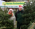 Wo es in Kirchhellen die schönsten Weihnachtsbäume gibt: Alle Termine und Angebote