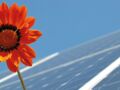 Photovoltaik-Anlagen für Unternehmen