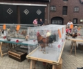 Traditionelles Hähne-Wettkrähen begeistert