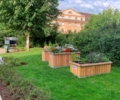 Erntedank-Café am Hochbeetgarten am Jovyplatz