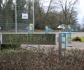 Bekommt Grafenwald einen Supermarkt? Eine spannende, aber gewagte Idee