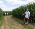 Kirchhellener Maislabyrinth begeistert die Besucher