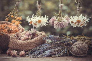 Trockenblumen sind ein echter Hingucker in Ihrem Zuhause