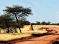 Nachricht aus Ruanda