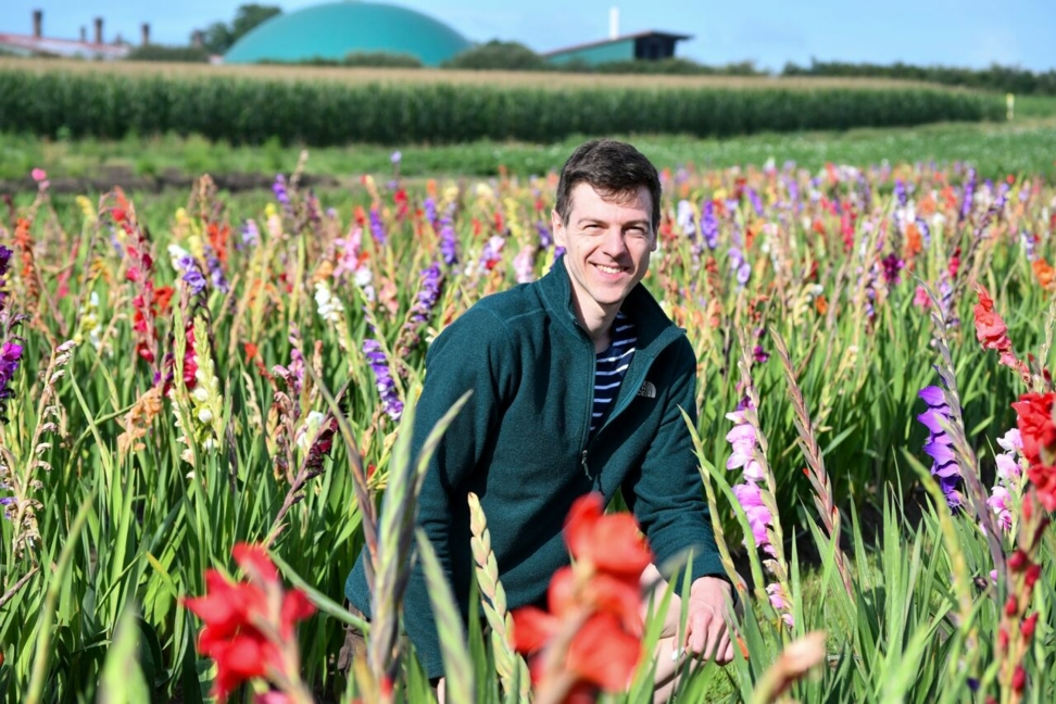 Justus Beckmann im Blumenmeer: Frische, selbstgeschnittene Blumen kommen in Kirchhellen gut an.