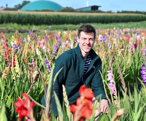 Faszination Selbstpflücke: In Kirchhellen blühen die Blumenfelder kunterbunt
