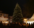 Weihnachtsbäume: Hier kann fleißig mitgeschmückt werden