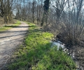Fokus auf Grafenwald: Diese Huckelpisten werden dieses Jahr beseitigt