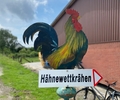 Wer wird Kirchhellens Super-Hahn? Traditionsgaudi steht wieder an