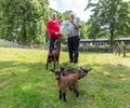 Waldpädagogisches Zentrum lädt zum Frühsommerfest