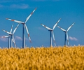 Wegducken gilt nicht mehr – Klimaschutz hat jetzt Verfassungsrang