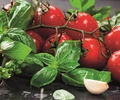 Frische Rezeptideen für das neue Jahr
