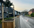 Mobile Bäume für mehr Sicherheit auf dem Schulweg in der  Agnesstraße