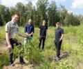 RVR Ruhr Grün: 1.800 neue Bäume für die Kirchheller Heide