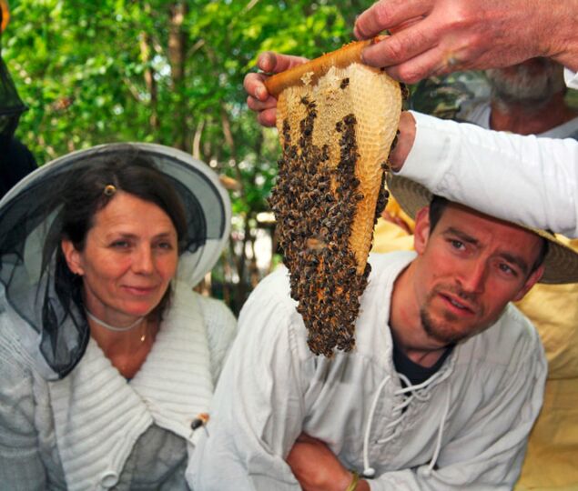 Bei einem Imkerkurs in Gladbeck lernen Interessierte, wie Bienen wesensgerecht gehalten werden und was bei einer Bienenhaltung im eigenen Garten zu beachten ist.