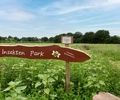 Wildblumenwiese der Buchweizenfreunde: Für Mensch und Natur