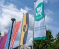 Mayors for Peace-Flagge weht vor dem Rathaus