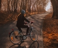 Die Lippe-Römer-Tour für Fahrradfahrer eignet sich für Tagestouren durch Schermbeck und Umgebung.