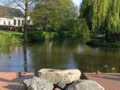 Ein Platz am Mühlenteich