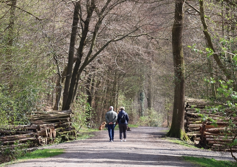 Neues Wildnisareal in Bottrop: Mehr Raum für Natur und Artenvielfal
