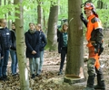 Spannender Wald-Tag zum Girl‘s Day am Waldpädagogischen Zentrum