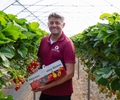Single Pflücken auf dem Hof Umberg: „Beeren zum Verlieben“
